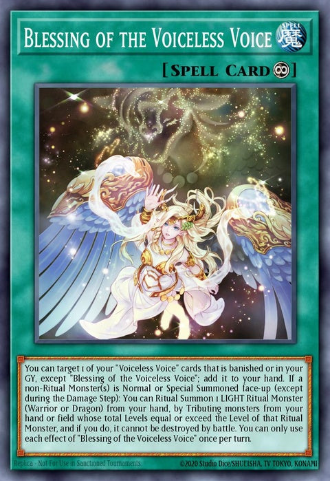 lede-en062-blessingofthevoicelessvoice