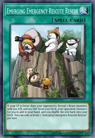 macr-ense3-emergingemergencyrescuterescue