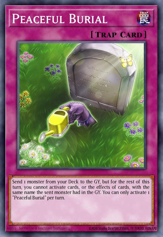 mp20-en196-peacefulburial