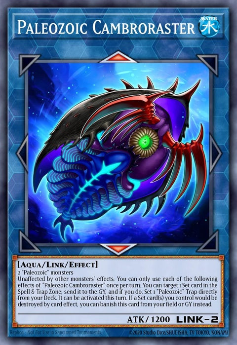 mp22-en088-paleozoiccambroraster