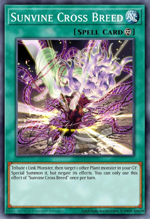 mp22-en116-sunvinecrossbreed