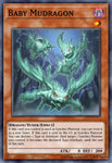 mp22-en172-babymudragon
