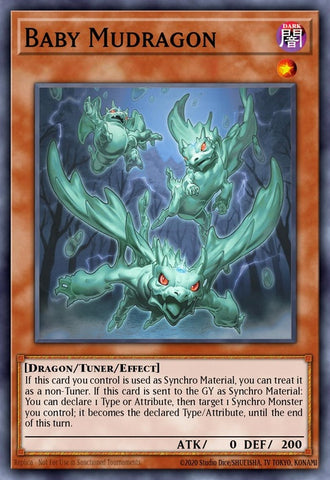 mp22-en172-babymudragon