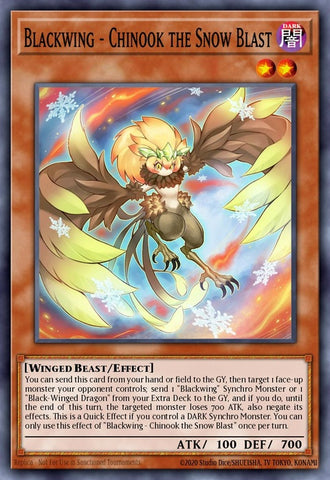 mp23-en154-blackwingchinookthesnowblast