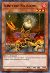 myfi-en042-lonefireblossom