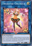mztm-en028-trickstarcolchica