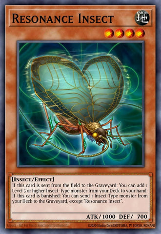 op17-en007-resonanceinsect