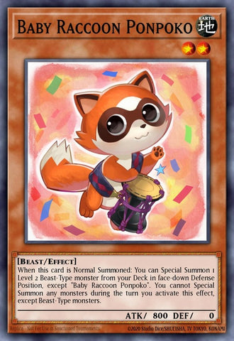 op22-en005-babyraccoonponpoko