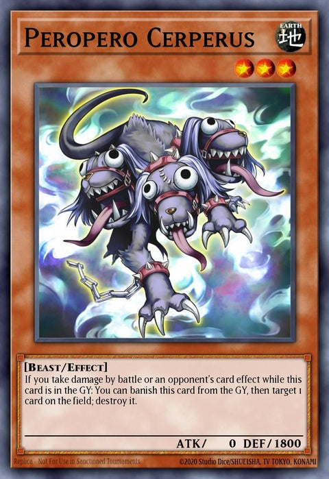 pgl2-en008-peroperocerperus