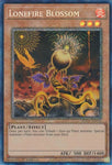 ra01-en002-lonefireblossompcr