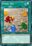 ra01-en053-fossildigplatinumsecretrare