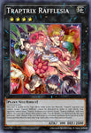 ra02-en034-traptrixrafflesia