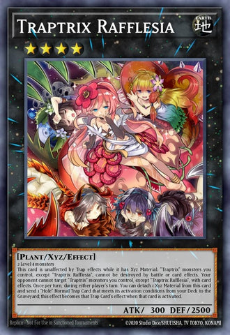 ra02-en034-traptrixrafflesia