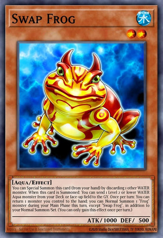 ra03-en005-swapfrogquartercenturysecretrare