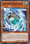 rota-en001-surfacingbigjaws