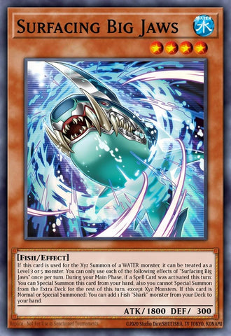 rota-en001-surfacingbigjaws