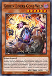 rota-en012-goblinbikersgonewild