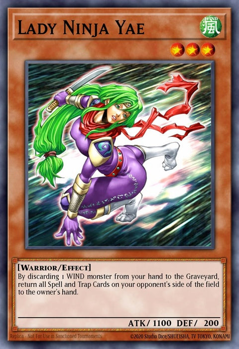 sd8-en011-ladyninjayae