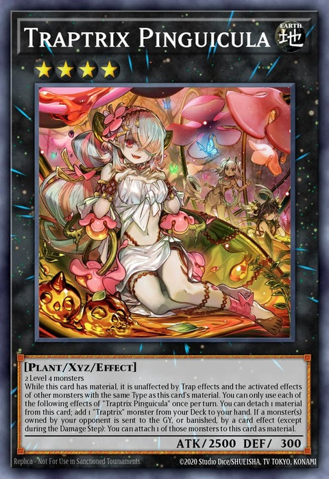 sdbt-en042-traptrixpinguicula