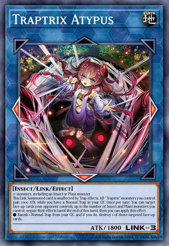 sdbt-en043-traptrixatypus
