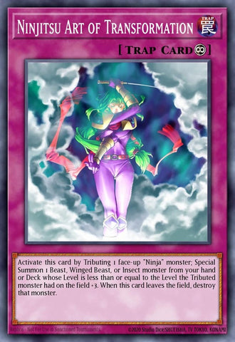 shva-en028-ninjitsuartoftransformation
