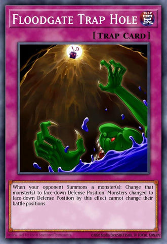tdil-en076-floodgatetraphole