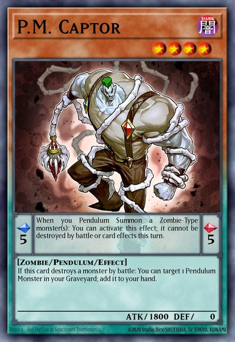 wsup-en044-pmcaptor