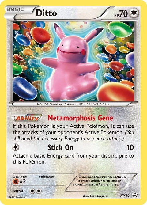 xy40-ditto