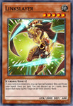 ys17-en004-linkslayer